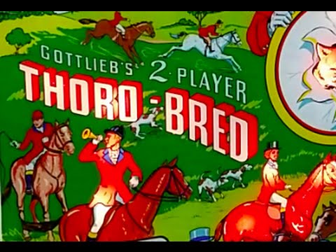 1965 Gottlieb THORO-BRED Pinball machine In Action