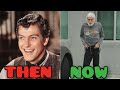 Chitty Chitty Bang Bang 1968 Cast Then And Now 2024 How They Changed