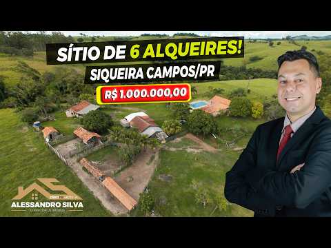 REF. 260205 - Sítio de 6 alqueires à venda, em Siqueira Campos/PR