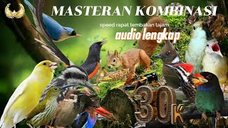 Download lagu SUARA BURUNG MASTERAN KOMBINASI  #SIKATANLONDO SPEED RAPET fULL TEMBAKAN!!! mp3