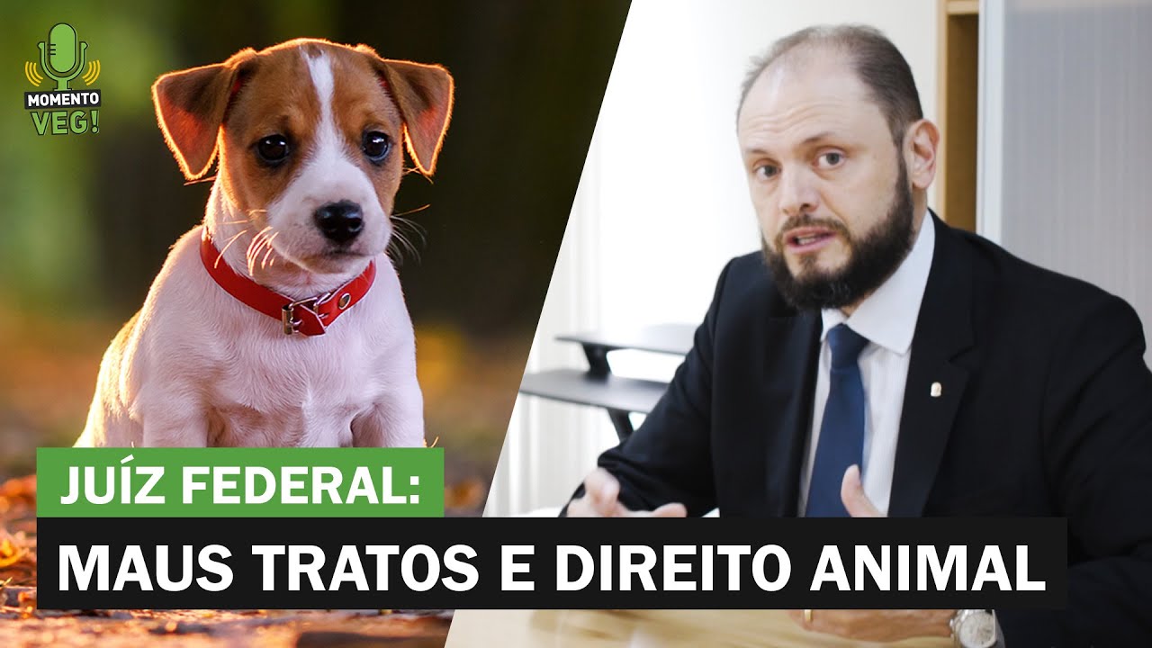 JUÍZ FEDERAL FALA SOBRE DIREITOS DOS ANIMAIS