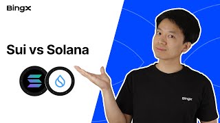 Sui vs. Solana: A Deep Dive Between Top Layer-1 Blockchains