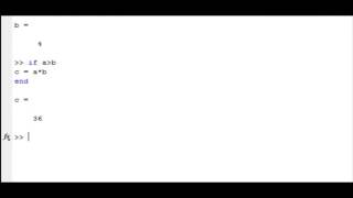 if and conditional statement