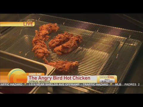 download lagu mp3 mp4 Pretty Bird Restaurant Nashville Tn, download lagu Pretty Bird Restaurant Nashville Tn gratis, unduh video klip Pretty Bird Restaurant Nashville Tn