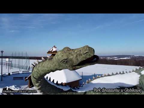 Głobikowa 29.01.2021r.