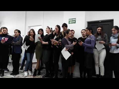 Liceul Teoretic Recaș - ”Sara pe deal” - 15.01.2020