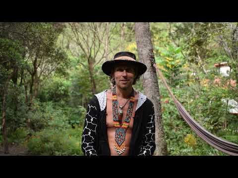 Linas Karalius - apie Peru žolininkystę ir Brazilijos grožį