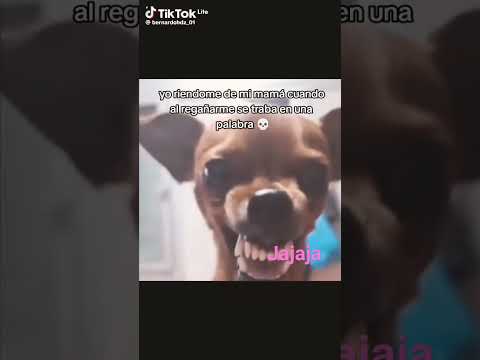 15 de septiembre de 2023