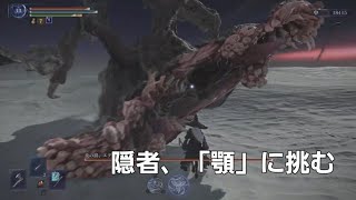 隠者の参考までにと「顎」に挑む男 [ ELDENRING「NIGHTREIGN」] [微ネタバレ注意]