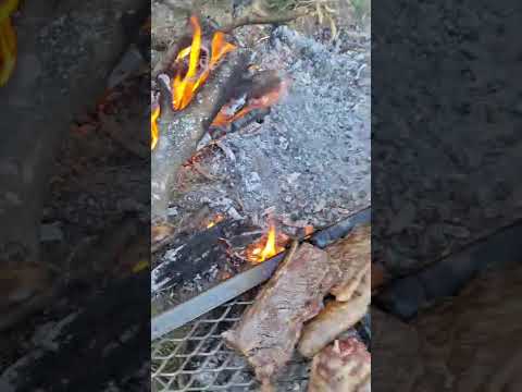 PESCA EN EL RÍO DULCE SANTIAGO DEL ESTERO