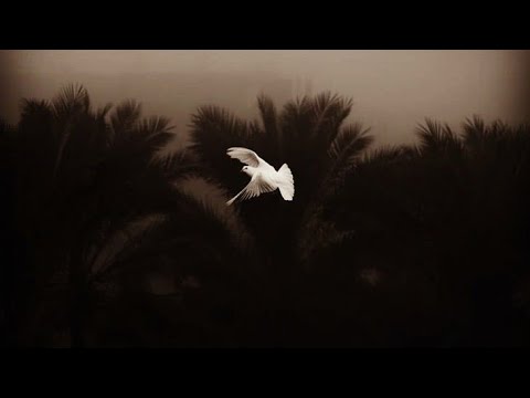 يا طيبة يا دوا العيانا - بطيء