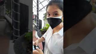 Download lagu mentahan video story WA halu pacar kondangan #shorts mp3 Download lagu mentahan video story WA halu pacar kondangan #shorts mp3