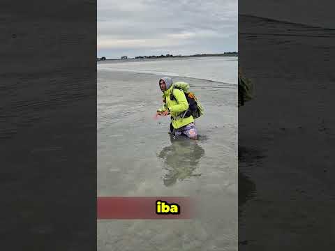 El error que podría hundirte más en arenas movedizas