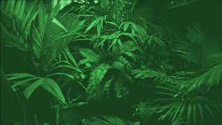 Calvin Harris - Cash Out (RELVAIRE Remix)