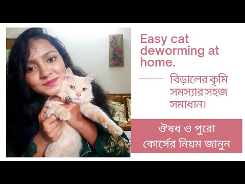 Easy cat deworming at home/cat deworming/বিড়ালের কৃমির সহজ সমাধান বাসাতেই 🥰 #catdeworming #cathealth