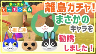 推しが来てくれないマイル旅行27連【あつまれどうぶつの森】【実況】【離島ガチャ】