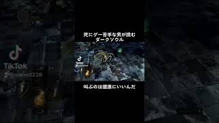 そこそこカロリー消費できたと思う#実況 #darksouls #ダークソウル
