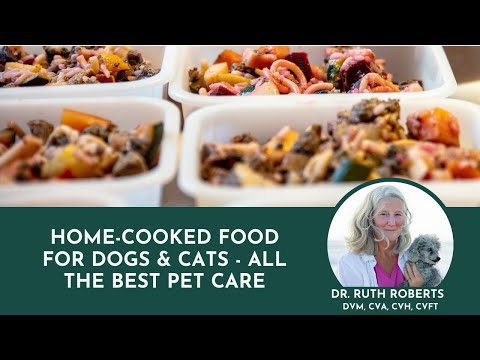 Home-Cooked Food for Dogs & Cats - All The Best Pet Care