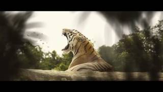 Tedua   Pugile Prod  Chris Nolan, Charlie Charles