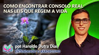 🌿 Além da Dor: A Esperança que Ilumina o Sentido das Provações - HAROLDO DUTRA DIAS PALESTRAS