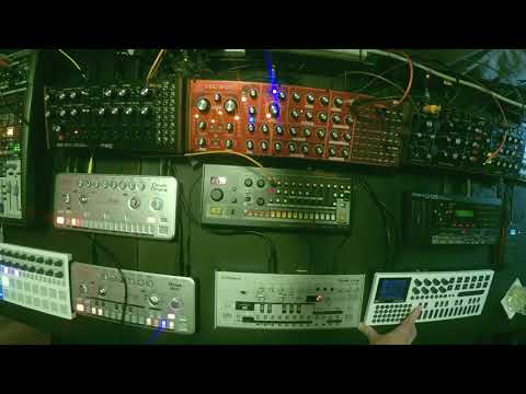 featuring TB-03 TR-08 D-05 - Live Hardware Jam - 2019-08-11