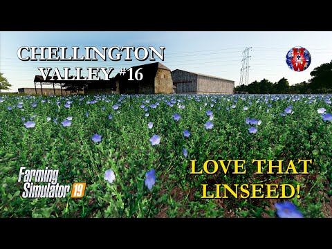 CHELLINGTON VALLEY #16 - LOVE THAT LINSEED! - Farming Simulator 19 Let's Play Survival FS19