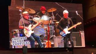 Los Lobos - Shakin’ Shakin’ Shakes LIVE Chicago 2023