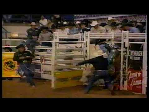 Hollywood bucks Rodney Lidgard - 98 PBR Odessa