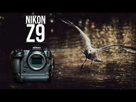 Nikon Z9 First Look | A Powerhouse of a Camera