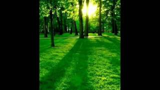 Expressions - Helen Jane Long