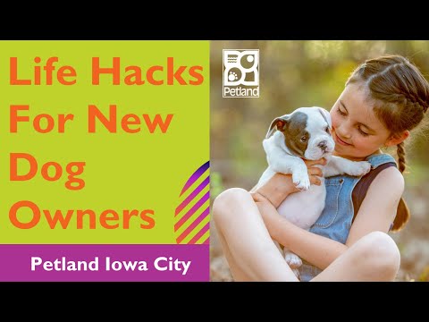 Life Hacks for New Puppy Owners