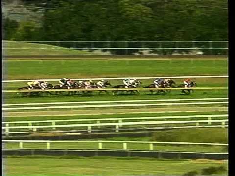 1999 Golden Slipper - Catbird