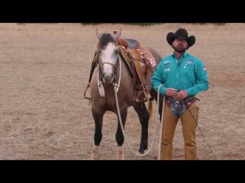 Introducing Your Horse to Your Spurs   S07E04 of Ridin' Horses with Kerry Kuhn