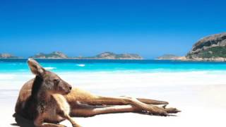 Your Welcome - Kingfisha vs nick one track: Dubfisha (nick one remix)