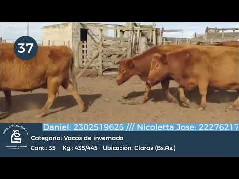 Lote VC INV - Claraz Bs As