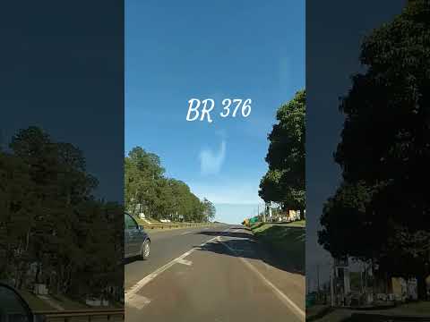 APUCARANA PARANÁ  .