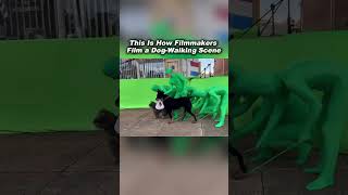 This Is How a Dog-Walking Scene Is Filmed
