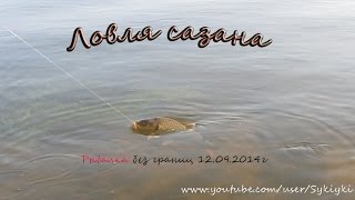 Ссылка