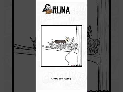 RESGATE DA PIXIE - pet_foolery