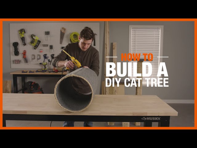 What is the best cat tree in the world?