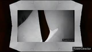 A Letter To Mama. Josie and the Pussycats