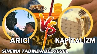 Baldan Fazlası - More Than Honey (Türkçe Altyazı Full Film HD 1080P)