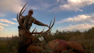 preview picture of video 'Monster Elk Arrowed in Colorado 2010'
