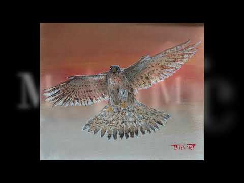 Thumbnail of Kestrel - Acrylic Painting Timelapse