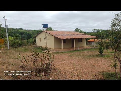 Chácara de 20.000M2 Valor 450.000 3 km De Prof.Jamil 65 km Goiânia Go 62 981414270 Veja o VÍDEO Todo