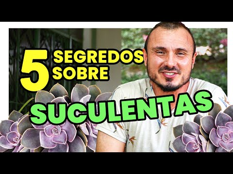 , title : '5 SEGREDOS SOBRE AS SUCULENTAS'