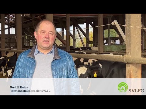 Sichere Rinderhaltung: Interview mit Rudolf Heins zur neuen VSG 4.1
