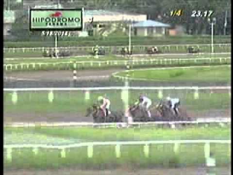 4TA CARRERA DOMINGO 18 DE MAYO 2014 HPR