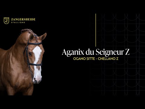 Aganix Du Seigneur