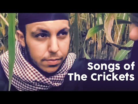Essam - Songs of the Crickets (Official Video)